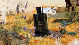 TOPBRAND | melt season获雅诗兰黛投资；FirstCry将IPO；瑞幸回应被索赔；Prada收购纽约物业