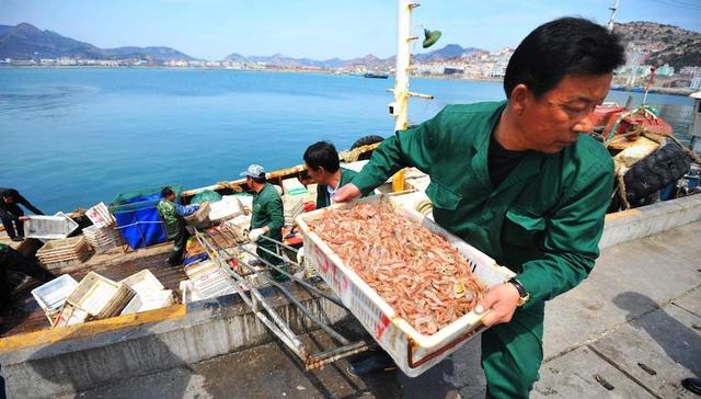 省级非遗传承人名单，崂山3人入选