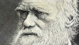 光伏淘汰落后產(chǎn)能全面提速，PERC包袱誰最重？