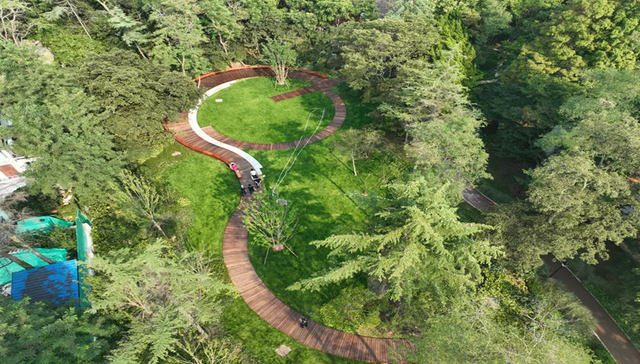 青岛市市南区：“民生画卷”托起百姓“稳稳幸福”