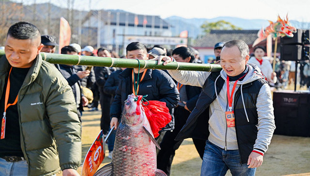 请你来吃鱼，东钱湖冬捕“第一网”来了