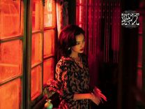 看不懂《繁花》，怪观众还是王家卫？