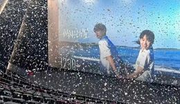 市场大涨80%，电影公司谁在赚钱？