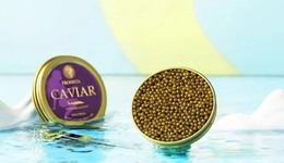 TOPBRAND | 芙思塔获融资；遇见小面拟IPO；星巴克×《大闹天宫》联名；字节跳动否认收购饿了么；Gap任命两名新高管