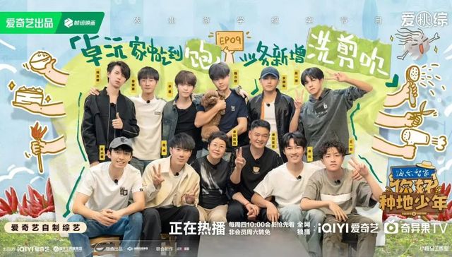 内容创新,综艺,广告招商,