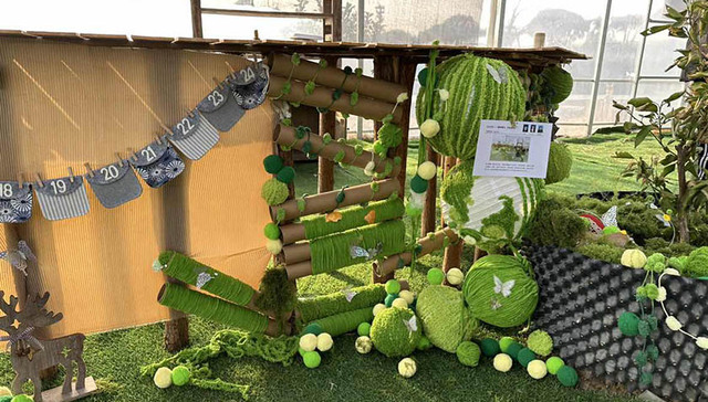 大学生课程作业扮靓农场 村民直呼“好洋气”