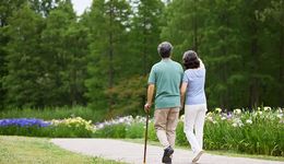 新銀發(fā)旅游，文旅的下一座“富礦”