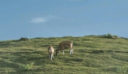 特别策划 | 白天上班晚上学艺 “夜校”回归