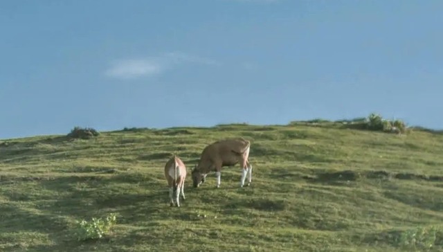 读书,文化,体验生活,女性,夜校