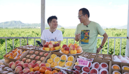 开播15天收入超6亿，与辉同行超越东方甄选？