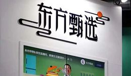 东方甄选业绩下滑背后的拧巴与裂痕