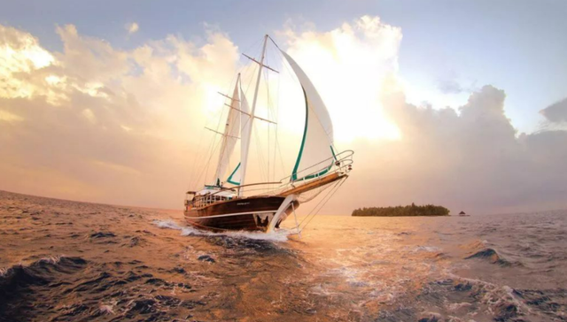 腾讯,网易,游戏,米哈游,手游