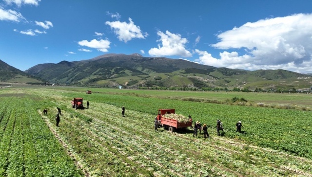 四川出台十二条措施，39个欠发达县域农业产业这样帮