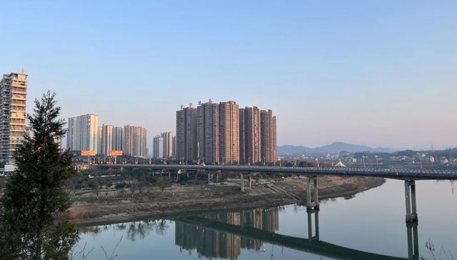 县城,春节,春运,职场,情感