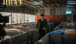 逃离“春节档”：《摇太阳》《红毯先生》命运会如何？