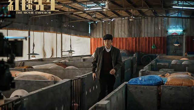 春节档,娱乐,影视产业,薛之谦,刘德华