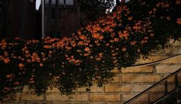 春節(jié)文旅業(yè)數(shù)據(jù)背后，又有哪些新動(dòng)向？