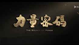 院线电影《力量密码》登陆网络平台