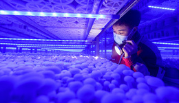 成都青白江：看企业如何发力“新质生产力”