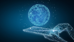 OPPO、魅族，背道而馳