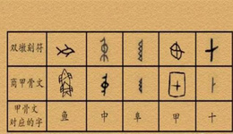 就这么绝，简单几道题，就能测出你的基因