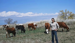 《我的阿勒泰》过审受关注，新疆题材的影视剧是下一个内容风口吗？