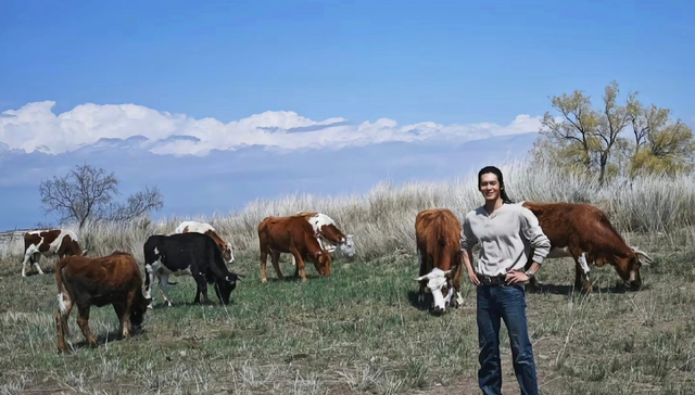 我的阿勒泰,电视剧,自制短剧,民族剧