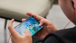 存量市场的巨头竞跑，鹅猪米们在比什么？