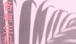 特別策劃｜“三八”勞動婦女節(jié)特輯：各有生機