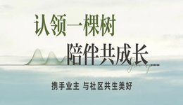 认领一棵树，陪伴共成长