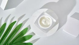 定了，完整版安评延期