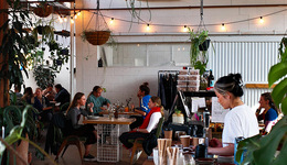 3072所高校餐飲店數(shù)據(jù)告訴你，連鎖店還有機會嗎？