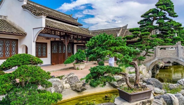 走进成都世园会 | 让世界看见“川派盆景”！温江分会场提前探