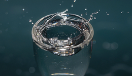 直击糖酒会：观众排队喝飞天茅台，酒企拼抢年轻人群