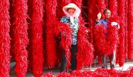 8000年的甘肅天水，火不過一碗麻辣燙