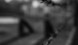 特别策划 | 少年与恶的距离