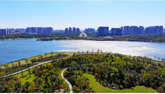 合肥这一片区规划最新消息