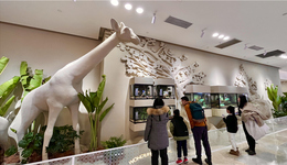 用生活美学把“流量”变“留量”