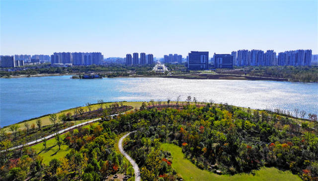 合肥这一片区规划，传新消息