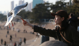 青岛市积极打造闻名全国的旅拍行业“名店、名师、名品” 