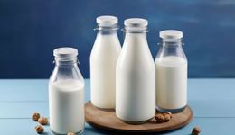 每日鮮語去中國香港搶市場