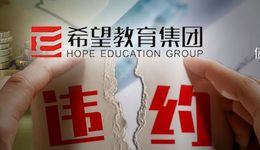 3亿美元可转债违约，“高教龙头”希望教育遭“清盘”申请