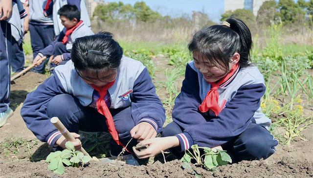 品耕读文化，悟新质生产力精神 | 大中学生农田里共上一堂思政课