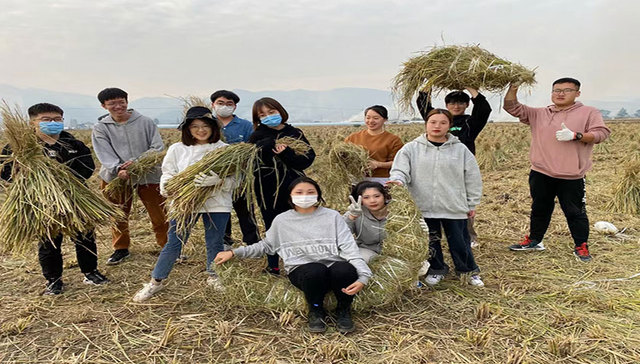 宁波财经学院艺术乡建十年探索：如何让“一阵风”变“扎下根”