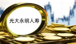 巨虧襲來總經(jīng)理黯然卸任，背靠大樹的光大永明人壽怎么了？