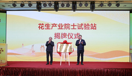 以新质生产力为指引 鲁花围绕花生做大文章