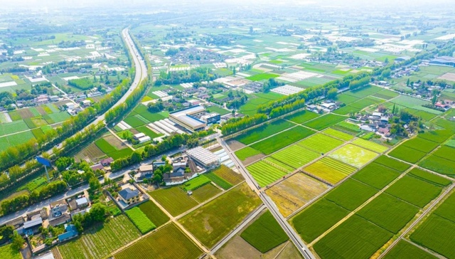 都江堰灌区：数字孪生赋能春灌，让水源“一键直达”