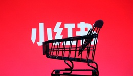 小紅書遠征迷局