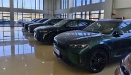 海外，抢购中国“二手车”