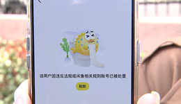 日活目标5000万，闲鱼想尽快赚钱